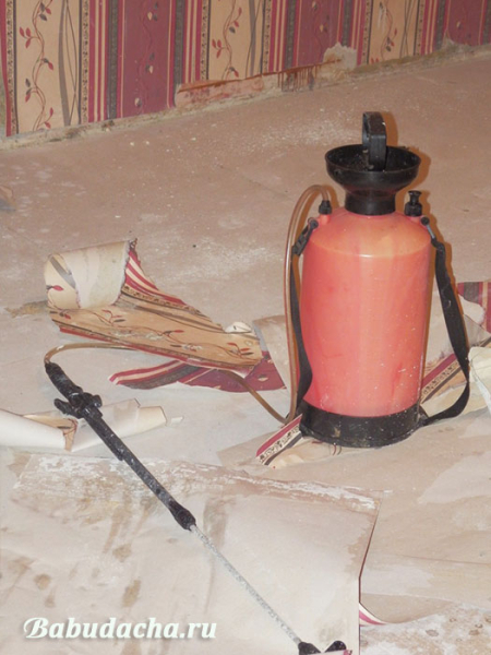 Как смыть побелку с потолка быстро и без грязи?