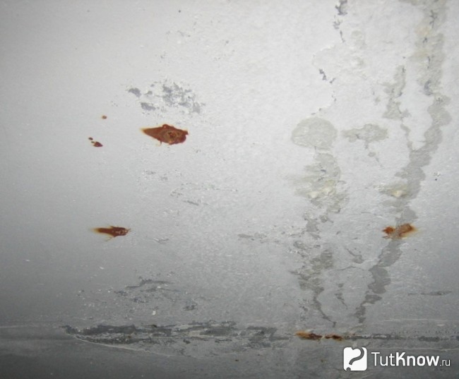 Как смыть побелку с потолка