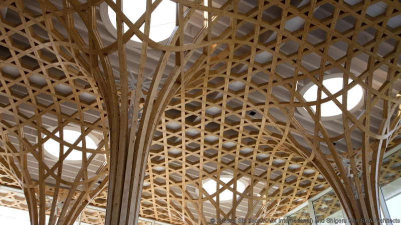 Лучшие потолки мира