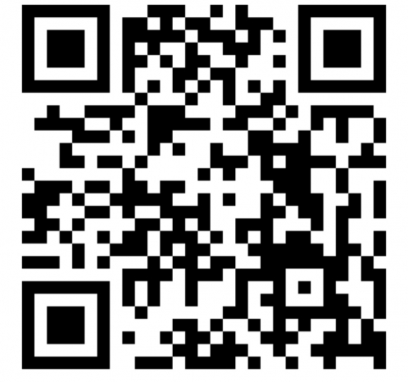 DIRECT ACTION Штрих к портрету патриарха-новобранца Всеволода Богданова