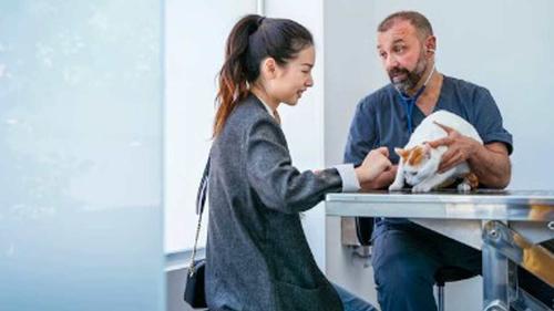 И снова деньги, деньги, деньги... Владельцам домашних питомцев и приютам для животных придётся раскошелиться