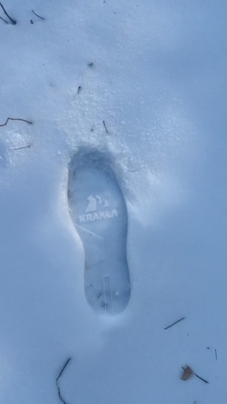 По следам &laquo;Krakena&raquo;. Как логотипы наркоплощадок появляются на улицах крупных региональных центров