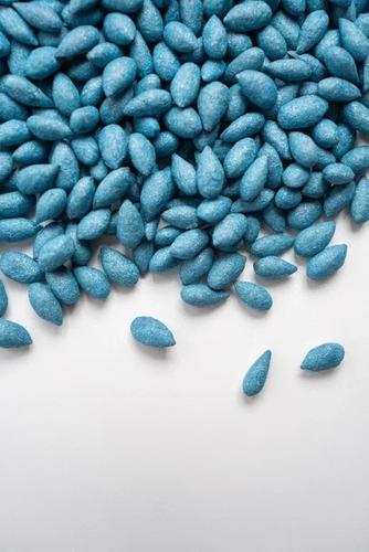 Подсолнечник: российские гибриды высокого полёта