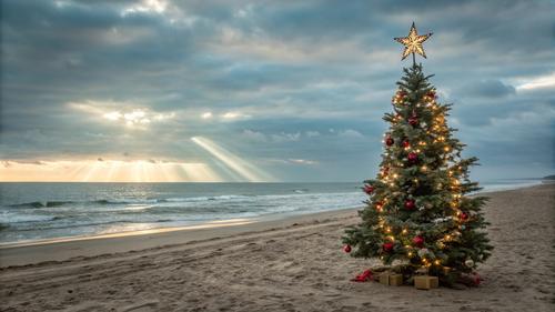 В Евпатории спустя два месяца вручили подарки с &laquo;Ёлки желаний&raquo;