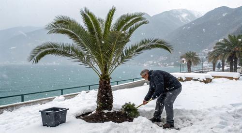 В Феодосии тратят деньги на озеленение под снег и мороз