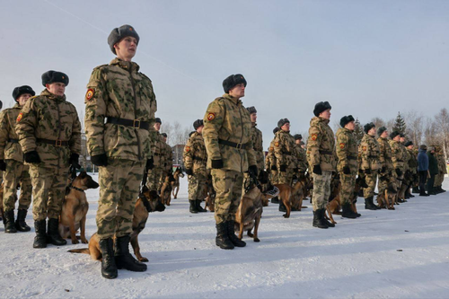 В Пермском военном институте Росгвардии впервые прошла торжественная церемония вручения щенков курсантам-кинологам