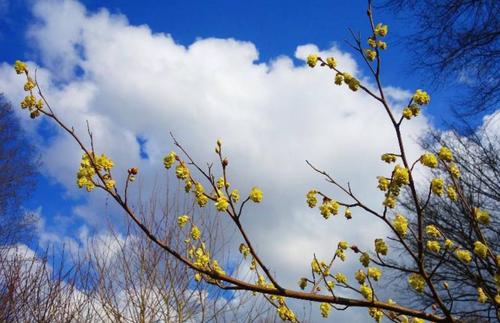 Апрель будет тёплым