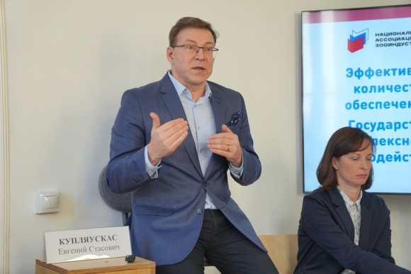 Эксперты зооотрасли обсудили  в формате мозгового штурма первоочередные меры по снижению количества бездомных животных и обеспечению безопасности человека