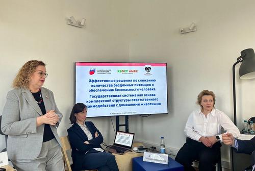 Эксперты зооотрасли обсудили  в формате мозгового штурма первоочередные меры по снижению количества бездомных животных и обеспечению безопасности человека