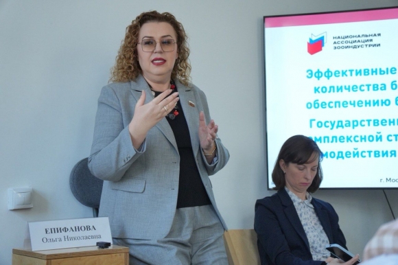 Эксперты зооотрасли обсудили  в формате мозгового штурма первоочередные меры по снижению количества бездомных животных и обеспечению безопасности человека