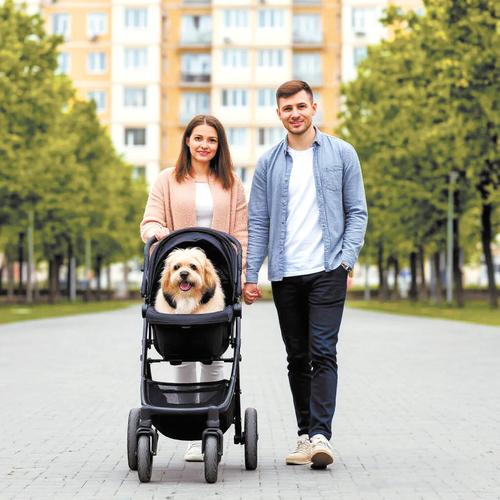 Крепостное ипотечное право