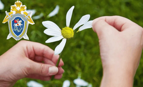 На зампрокурора города Керчи направлены сообщения о преступлениях. Следователя следственного комитета города Керчи посадят, оштрафуют, уволят или ничего не будет?