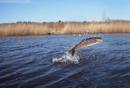 &laquo;Роснефть&raquo; поддерживает этнографические и экологические проекты в Эвенкийском районе Красноярского края