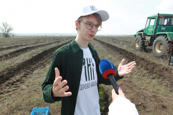 Более 12 тысяч сеянцев сосны высадили в Ростовской области