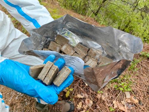 По лесам Крыма разложили вакцину от бешенства, похожую на куски мыла