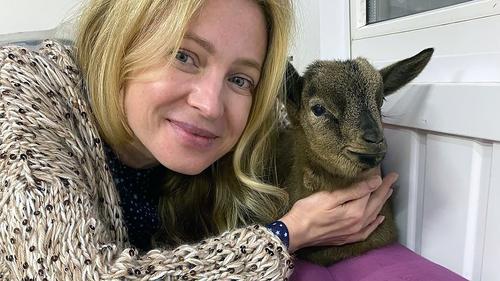 Поклонская на &laquo;Валберис&raquo; нашла брошенного козла