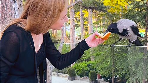 Поклонская решила, что встретила соглядатая бога Одина