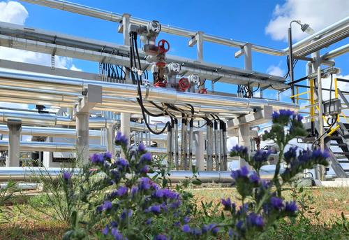 Природоохранные инвестиции &laquo;Оренбургнефти&raquo; в 2024 году составили более 3 млрд рублей