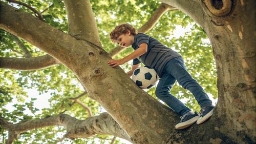 Ребенок полез на дерево спасать мяч, а потом спасать ребенка полезли спасатели