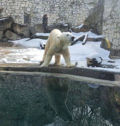 Редкие виды птиц, животных и рыб под защитой нефтяников