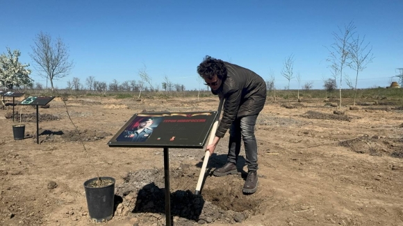 Роща Героев: память, которая растёт