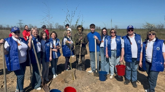 Роща Героев: память, которая растёт