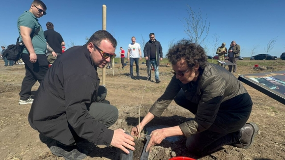 Роща Героев: память, которая растёт