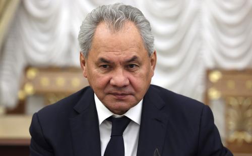 Шойгу опроверг информацию об огромной преступности в России среди мигрантов