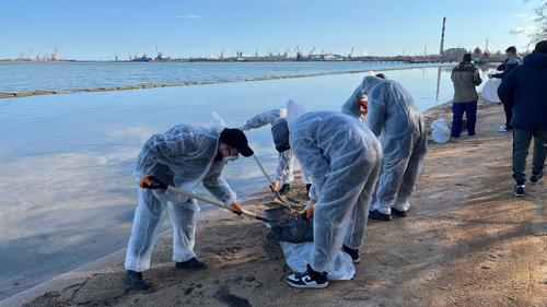 Шторм выбросил мазут на берег у Керчи