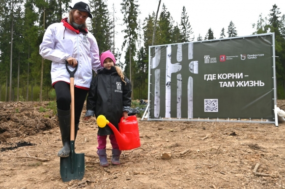 В Новой Москве высадили более четырех тысяч саженцев лесных культур