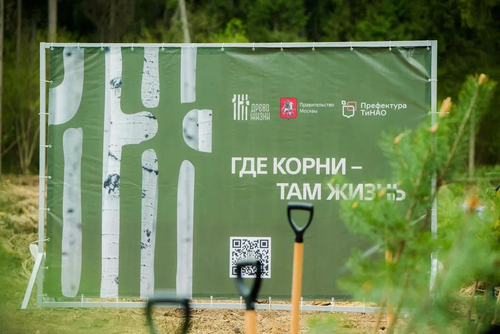 В Новой Москве высадили более четырех тысяч саженцев лесных культур