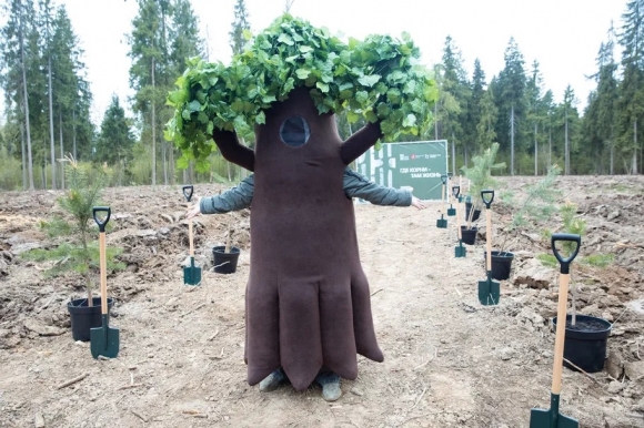 В Новой Москве высадили более четырех тысяч саженцев лесных культур