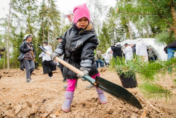 В Новой Москве высадили более четырех тысяч саженцев лесных культур
