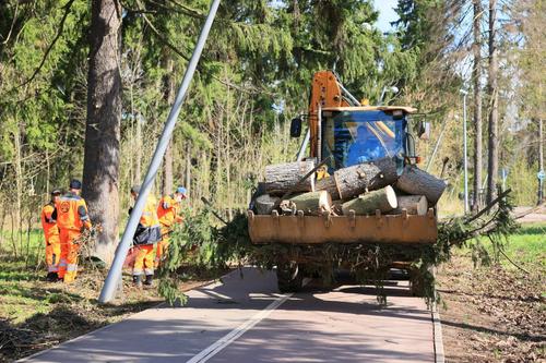 В Подмосковье пройдет Всероссийский субботник