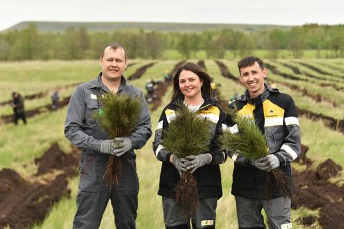 &laquo;Башнефть&raquo; продолжает масштабное озеленение Республики Башкортостан