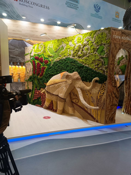 Инвестиционный путь &mdash; прошлое, настоящее и будущее Северного Кавказа