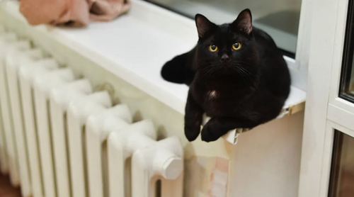 В Хабаровске официально завершат отопительный сезон 5 мая