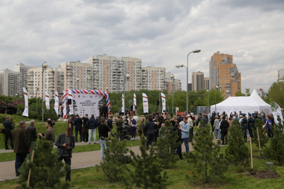 &laquo;Живая память&raquo;: в Москве высадили кедровую аллею в честь погибших военкоров