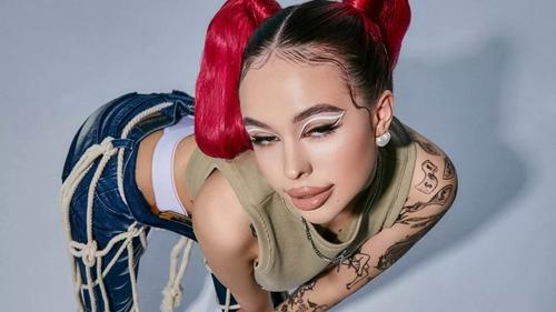 Инстасамка прокрадывается в политику?