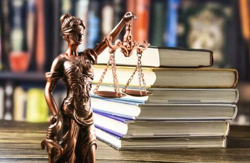 Как адвокат Ирина Шоч заработала на уголовном деле АСВ