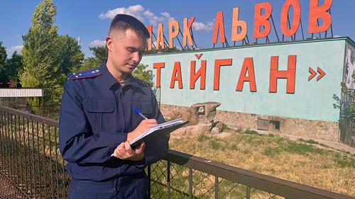 Пока Зубков выкарабкивается из лап смерти, &laquo;Тайган&raquo; проверят с пристрастием