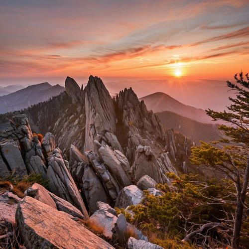 Спор между порядком и вольницей