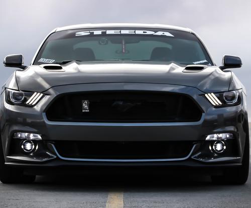 Жена Макаревича* сообщила, что израильские военные забрали ее автомобиль для военных нужд по экстренной повестке