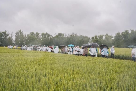 АгроФестиваль &ndash; Betaren-2025: новый формат, новый взлёты, новые победы