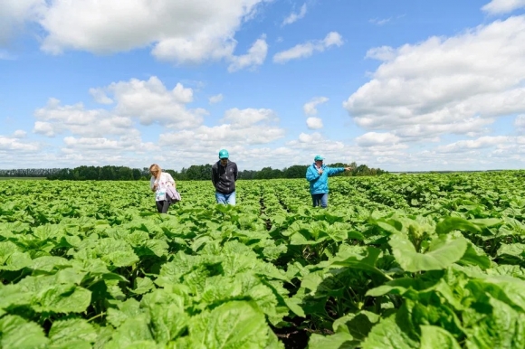 АгроФестиваль &ndash; Betaren-2025: новый формат, новый взлёты, новые победы