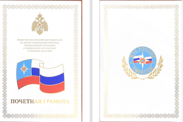 Награда нашла своего героя: Алексей Огурцов получил почётную грамоту за спасение женщины и ребёнка от нападения алабая