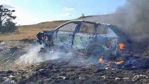 Причиной пожара в крымском лесу стал немец