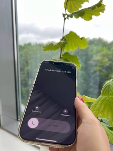 Робот Светлана совершила почти 6,4 млн исходящих звонков жителям Подмосковья