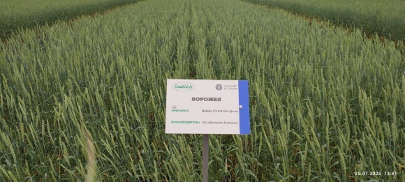 Сорта плюс технологии равно результат