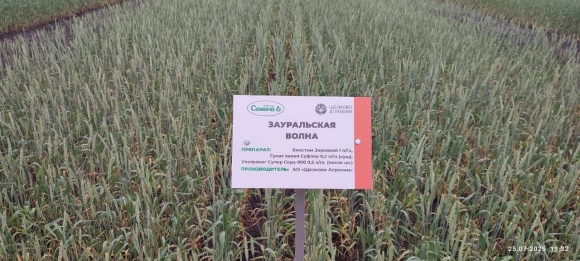 Сорта плюс технологии равно результат